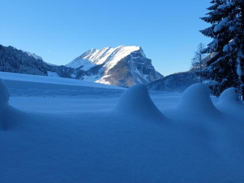 สภาพแวดล้อมโดยรอบ, Pension Oberhauser in สคอปเปอร์เนา