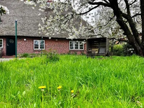 Elbkoje in Drage, Deutschland