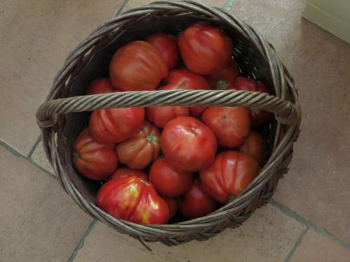 Holiday Home Artina 2 - image 9