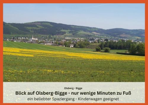 Ferienwohnungen Sauerland und Olsberg