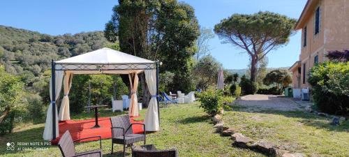 DIMORA IL CAMALEONTE country apartments with pool