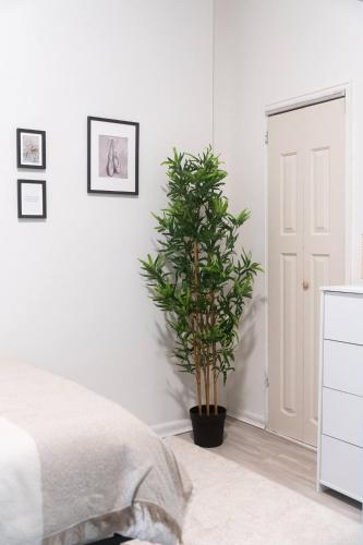 Newly Renovated 1br Gem in the Heart of Murray Hill in New York, USA