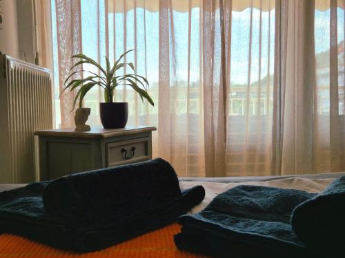 Beach apartment Beach apartment