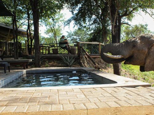 . Khanya Tented Camp