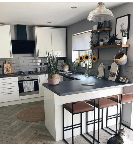 Luxury elephant house - image 4