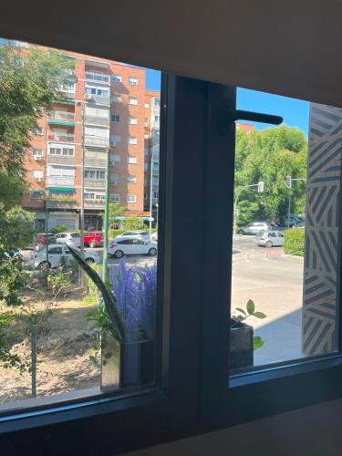 GARDEN HOUSE Madrid - image 8