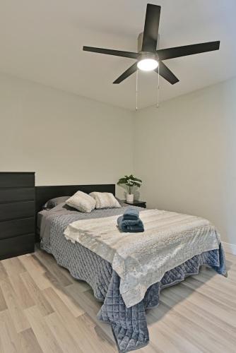 Bedroom and bathroom - perfect for solo traveler in Wellington