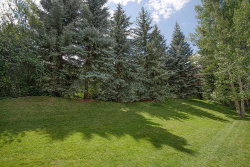 44 Aspen Meadow Drive - image 7