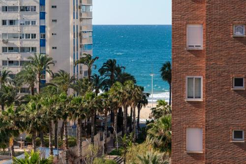 Apartments Carlos V - image 6