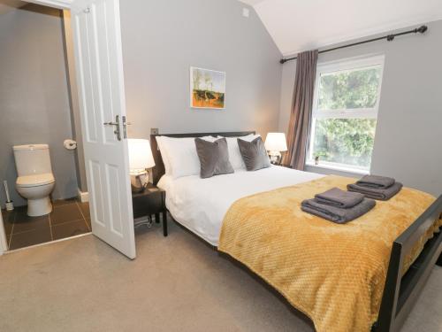 Dale Cottage Llanrwst - image 2