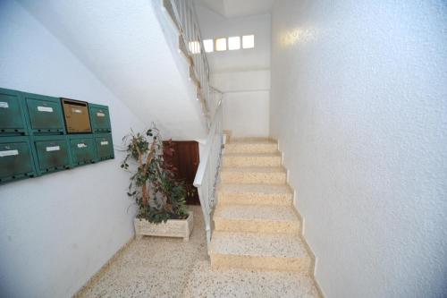 Three-Bedroom Apartment image 10