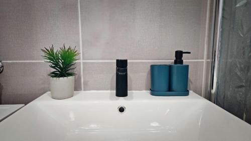 Apartment Zore