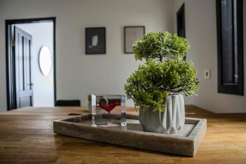 Apartment image 3