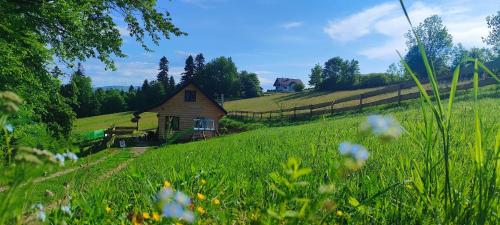 Chata DUDZIAKÓWKA (Chata DUDZIAKOWKA) in Werlas
