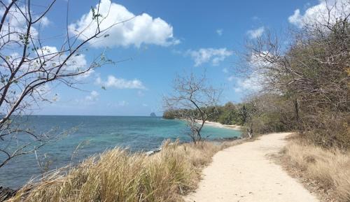 Edith, T2 design plage Gros-Raisins Sainte-Luce, Sainte-Luce (photo 10)