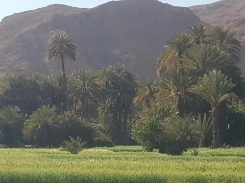 Palm Valle guest house B&B Palm Valle guest house B&B