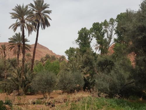 Palm Valle guest house B&B Palm Valle guest house B&B