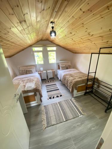 Standard Twin Room image 10