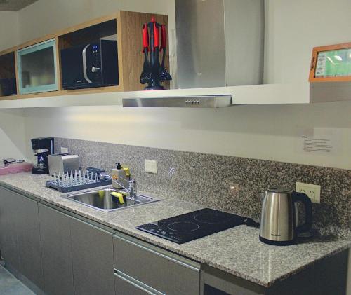 Superior One-Bedroom Apartment with Balcony room in ALIWENSMA Coihue