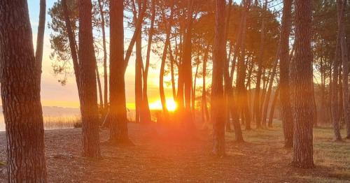 Appartement de plage 16-17 Appartement de plage 16-17