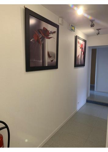 chez stephane in Ferrieres-en-Brie