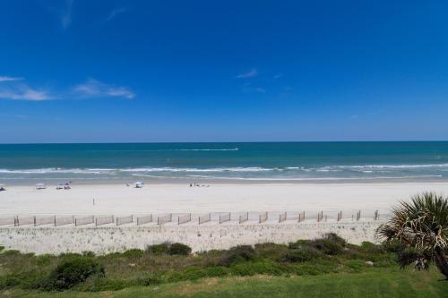 Sand Dollar 3-405 - image 24