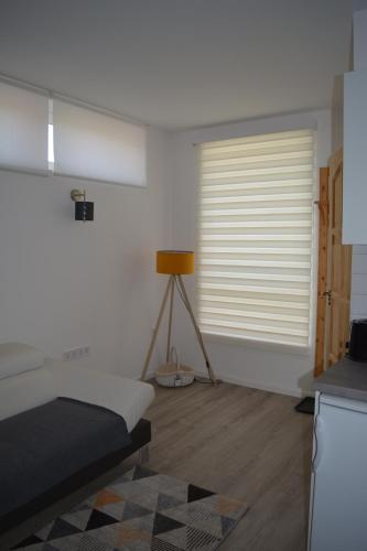 ViBe, Zalaegerszeg (fotografie 8)