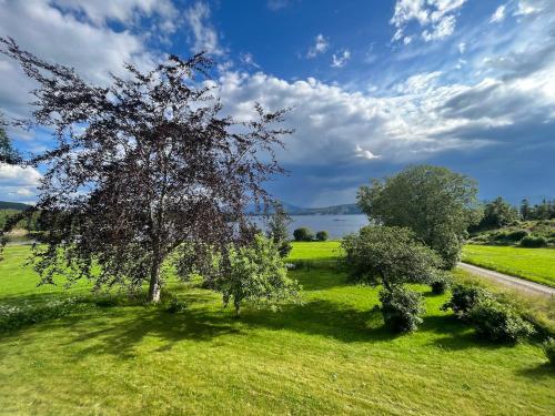 . Stenegården