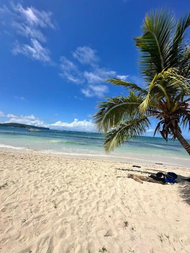 Strand, Hostel La Ballena Backpacker in Las Galeras