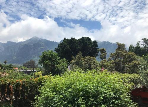OCASO apartment in Tepoztlan in Tepoztlán, Mexico