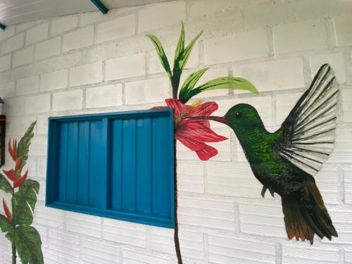 Posada de las Aves en San Rafael cerca del rio bizcocho - Avistamiento de aves al interior