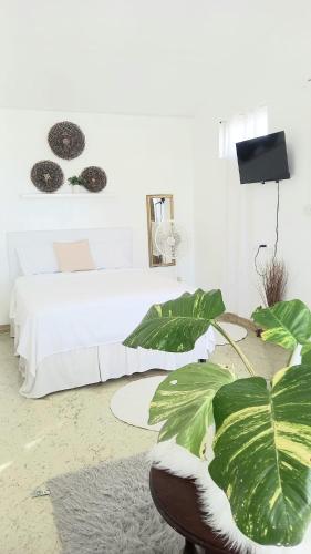 Place to stay close to US embassy and easy access to town in Bridgetown