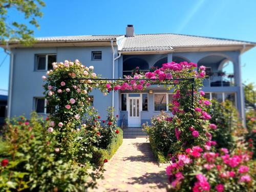 Casa cu Trandafiri Murighiol – Murighiol, 