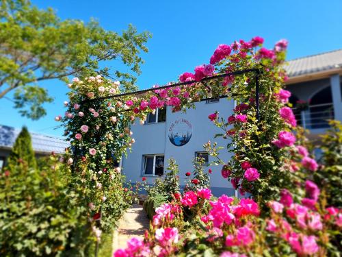 Casa cu Trandafiri Murighiol – Murighiol, 