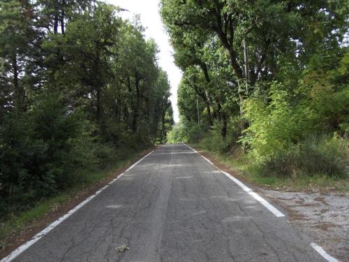 B&B Del Monte - image 10