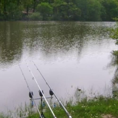 Szórakozási lehetőségek, l'étoile d'Adour (l'etoile d'Adour) in Cazeres-Sur-L'Adour