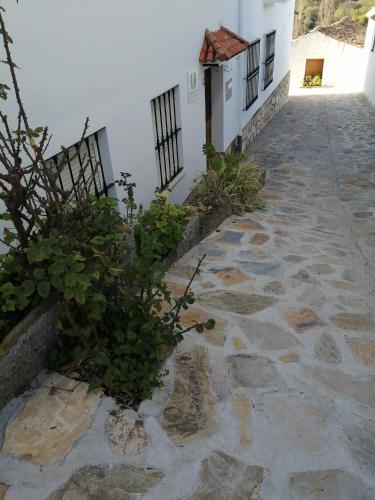 Casa Sol Benamahoma in Grazalema