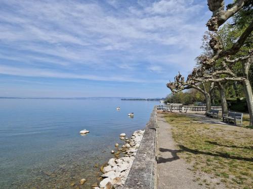 La Mésange, vue montagnes à deux pas du lac (La Mesange, vue montagnes a deux pas du lac) in โทนง-เล-แบ็ง