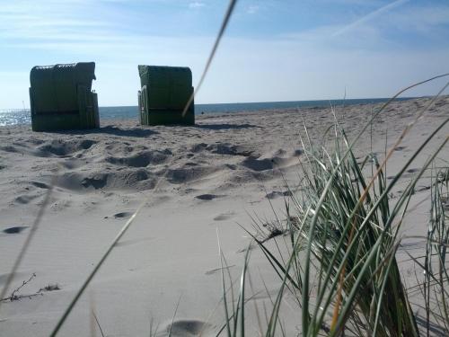 Roter Seestern In Wyk Auf Fohr Germany 10 Reviews Prices