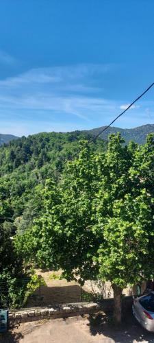 U pozzu hôtel (U pozzu hotel) in Evisa