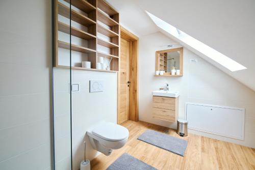 Ducha, Mozirje Comfort Apartments in Mozirje