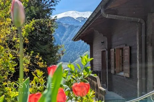 AmBach l Vue exceptionnelle l Sauna in Raron, Schweiz