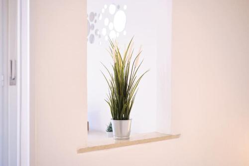 Tuscolana Blu Apartment - Grazioso Monolocale, Roma (foto 3)