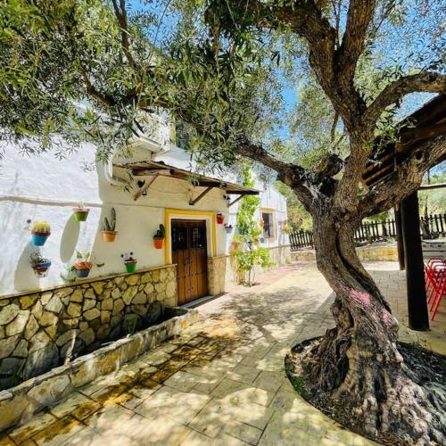 Casa Rural Privada Belén (Casa Rural Privada Belen) in Pruna
