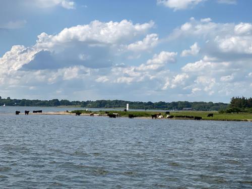 Ferienwohnung Wiking-Koje 11 Schleswig