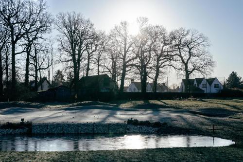 Manor Of Groves Hotel - image 10