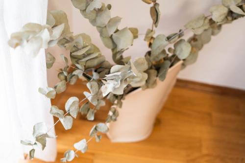 Bed and Brekfast Donatella