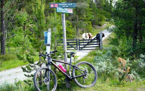 A környék, Lifjellhytte 10 by Norgesbooking - cabin at Golsfjellet in Gol