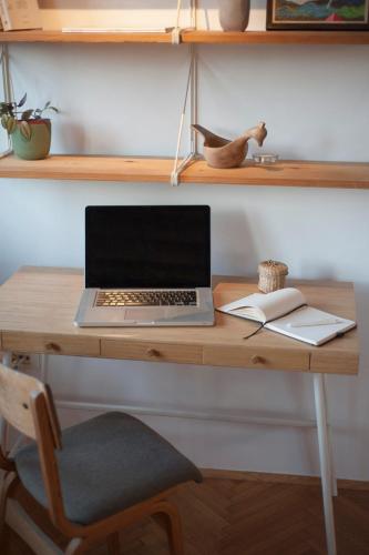 One-Bedroom Apartment image 10