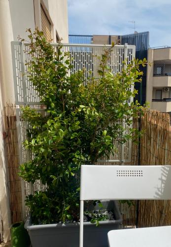  Via Roma a un passo dalle università! in Sassari